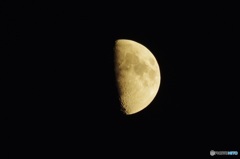 Half&Half_1