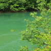 緑の川　10