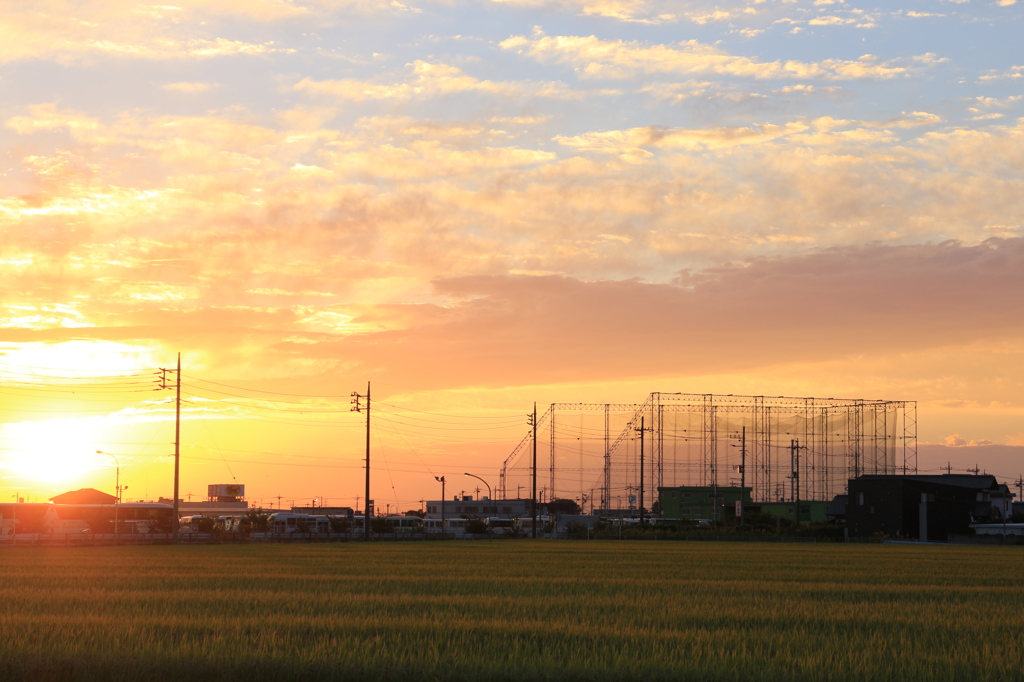 田舎町の田園朝日2014秋　2