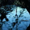 氷玉