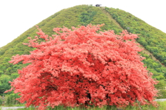 赤い山・緑の山