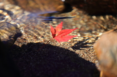 終焉　水の中