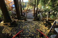 散る