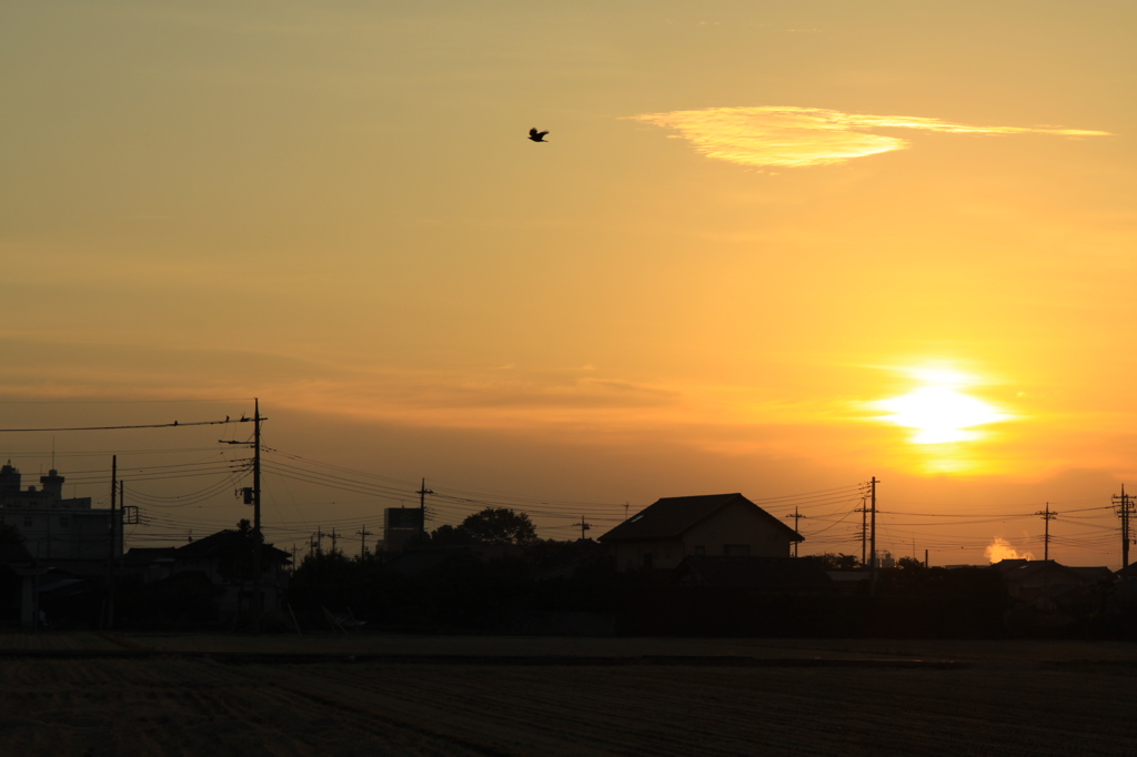 田舎町の田園朝日2014秋　1