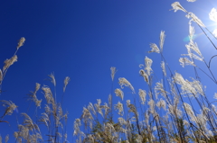 秋空