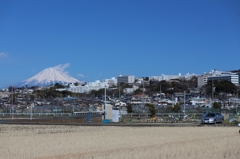 白亜の校舎と富士山