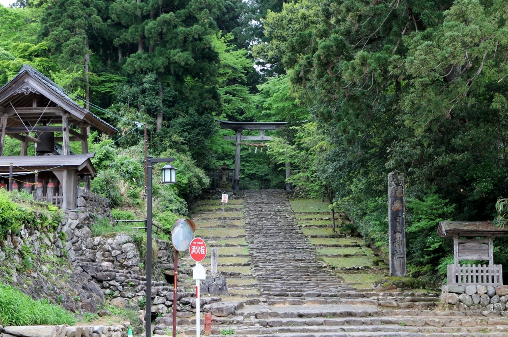 鎮守の森へ