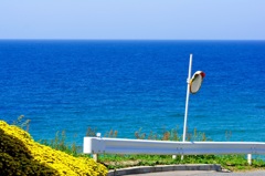 ５月の海