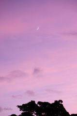 twilight moon