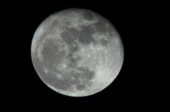 close-up moon