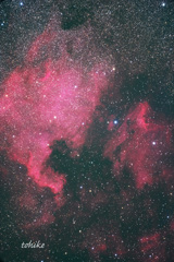 NGC7000&IC5067