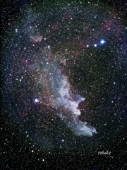 Witch Head Nebula