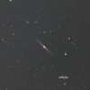 NGC4565