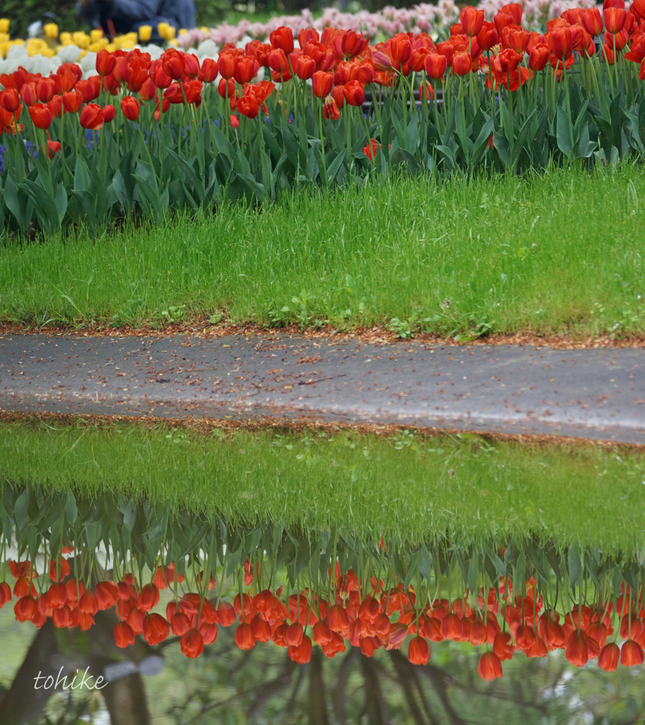 symmetric world