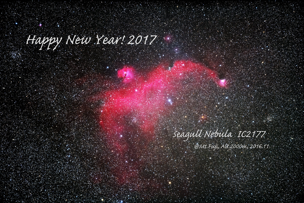 Happy New Year! 2017～Seagull Nebula