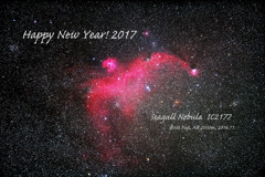 Happy New Year! 2017～Seagull Nebula