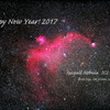 Happy New Year! 2017～Seagull Nebula