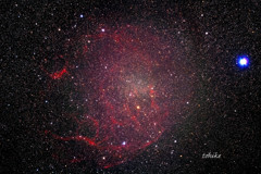 Supernova Remnant～Sh2-240