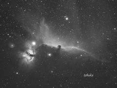 Flame & Horsehead Nebula～Monochrome Hα