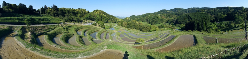 rice terraces