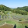 rice terraces