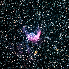 Thor's Helmet Nebula～NGC2359
