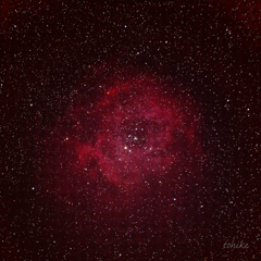 Rosette Nebula is blooming