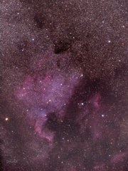 Starlit sky traveler～NGC7000,IC5067
