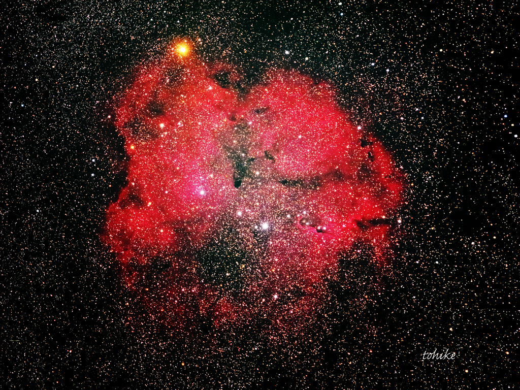 Garnetstar & IC1396