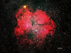 Garnetstar & IC1396