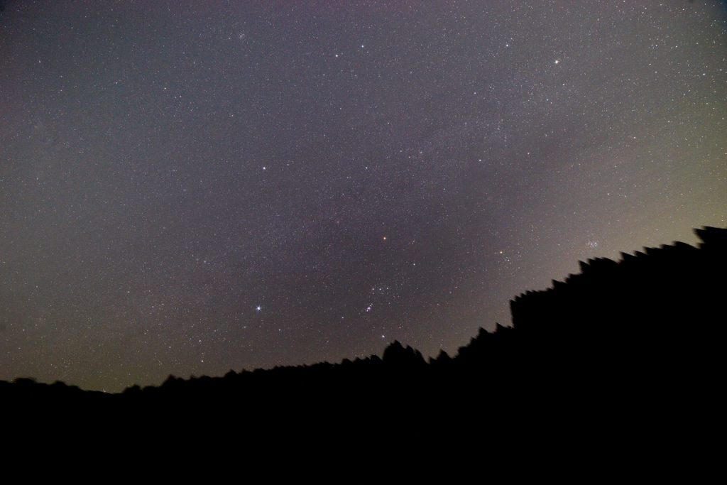 Goodby winter starry sky