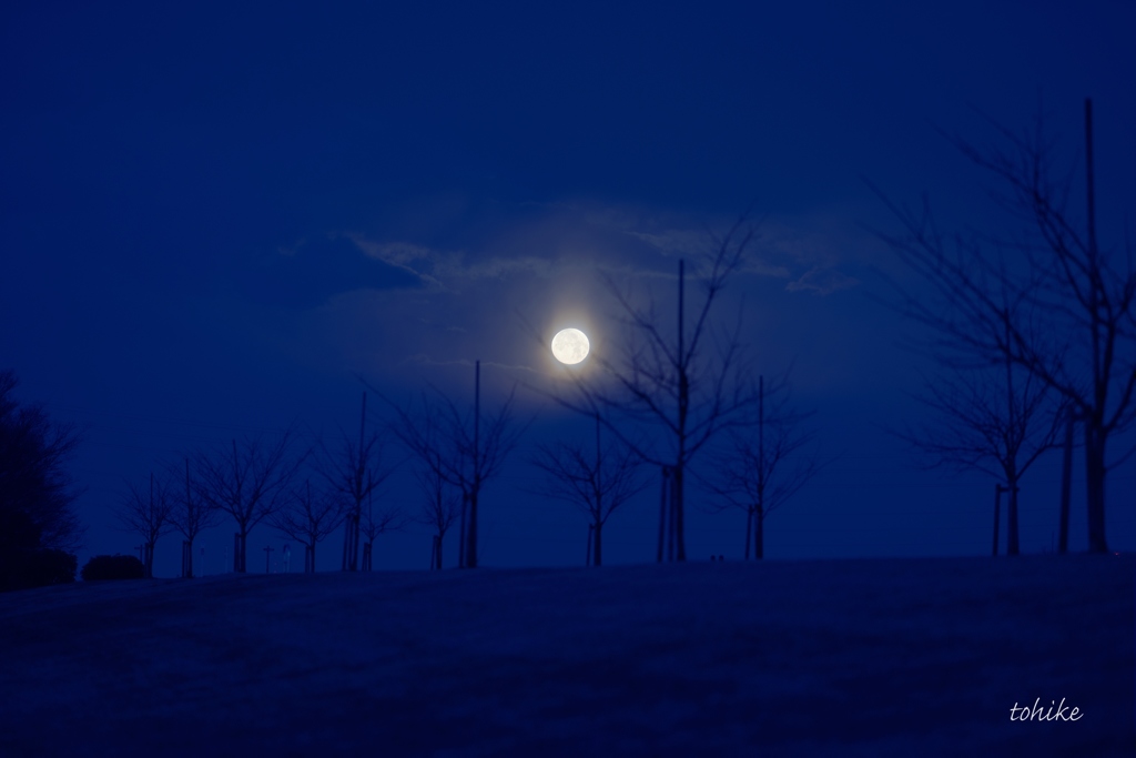 toward moonset