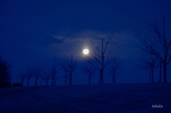 toward moonset