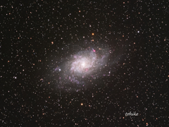 M33 spiral galaxy