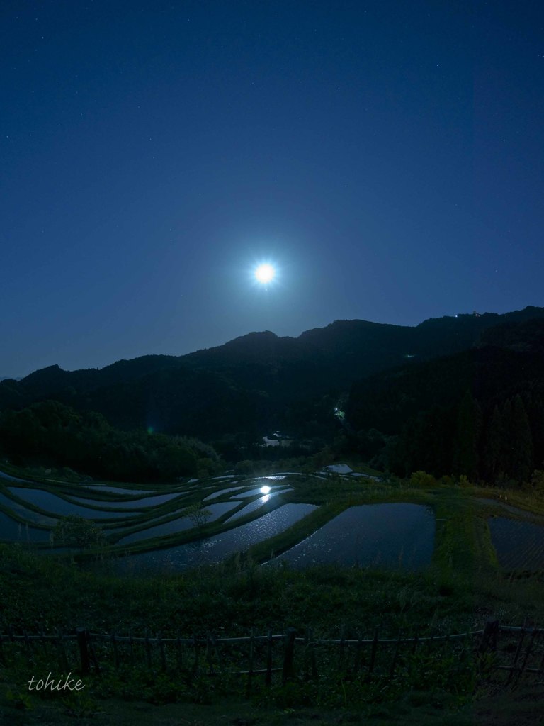 moonlight serenade
