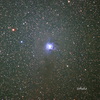 Iris Nebula～NGC7023