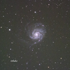 Pinwheel Galaxy M101