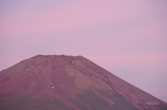 summer evening Fuji