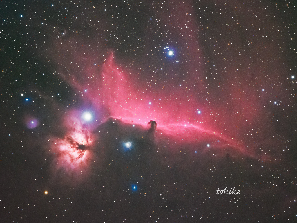 Flame & Horsehead Nebula～coloring
