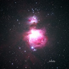 Red Orion～M42,M43,NGC1977