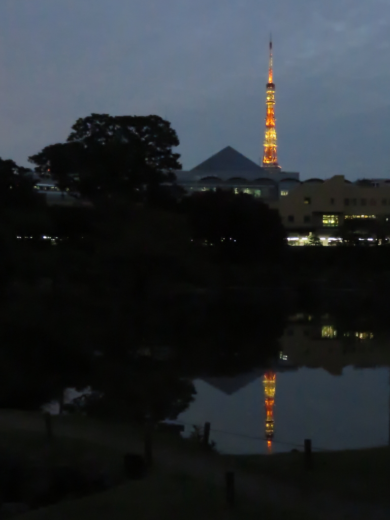 東京タワーと－ワタ京東