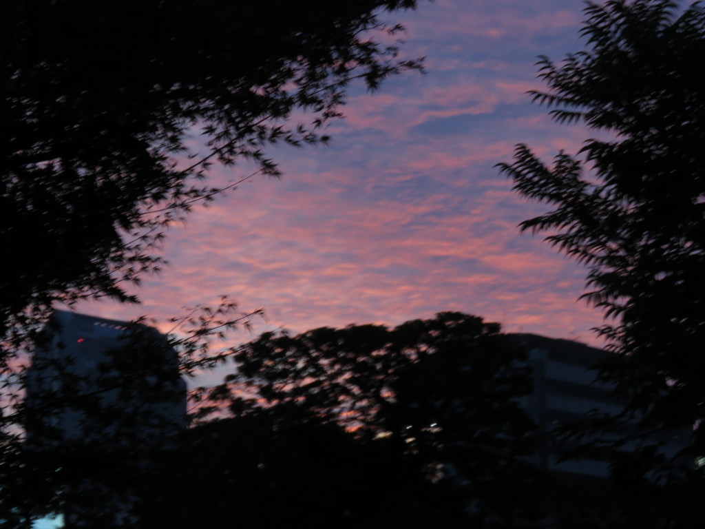 夕焼け空が……「