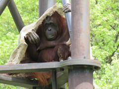 親子で日除け