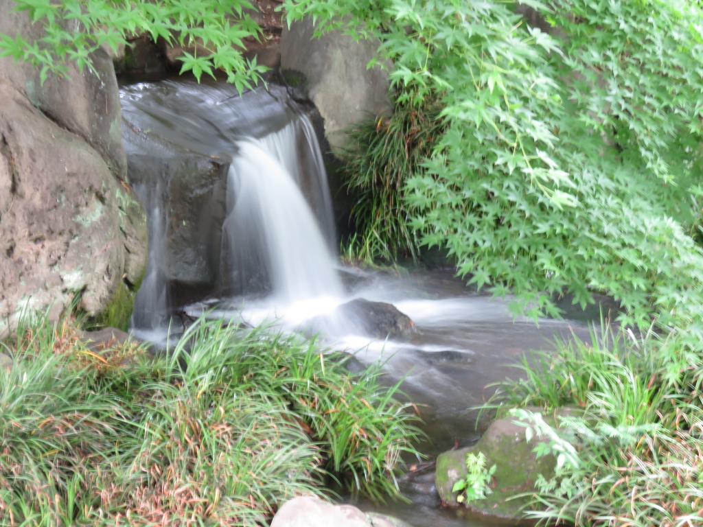 滝　府中の森公園