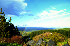 A people want to see like this view. 