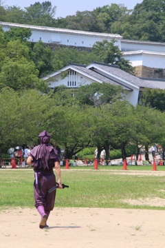 いざ、姫路城へ。