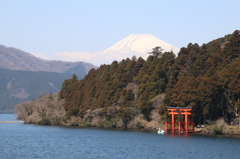 富士山と鳥居