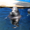 いい湯だなー