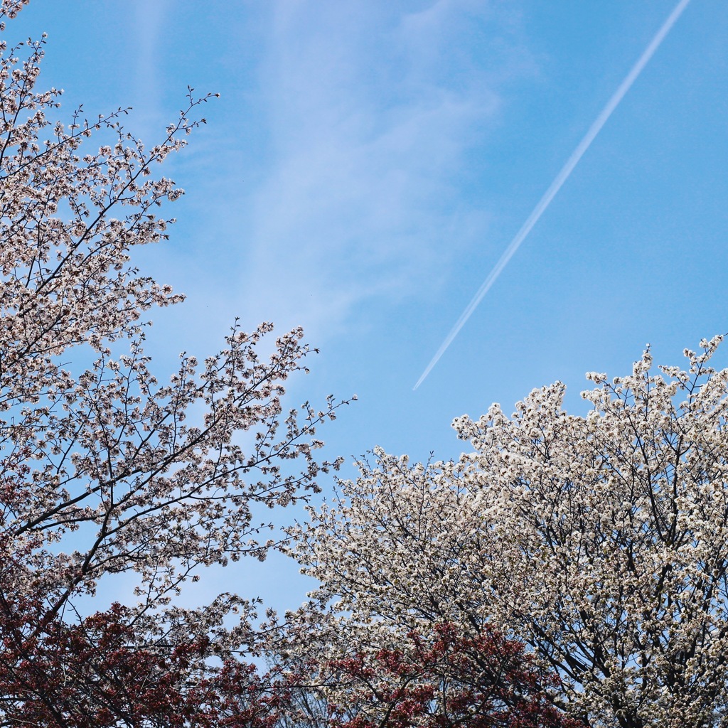 春空