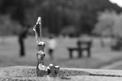 公園での一枚